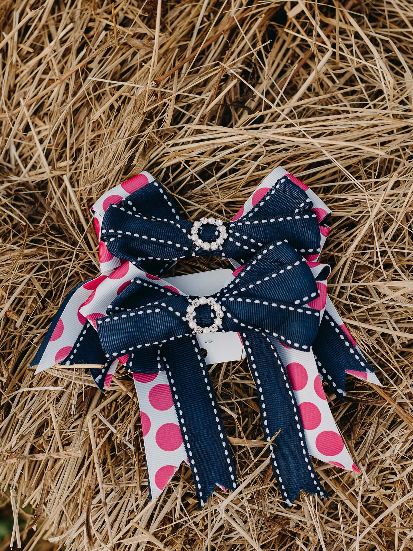 Show Bows Blue and Pink