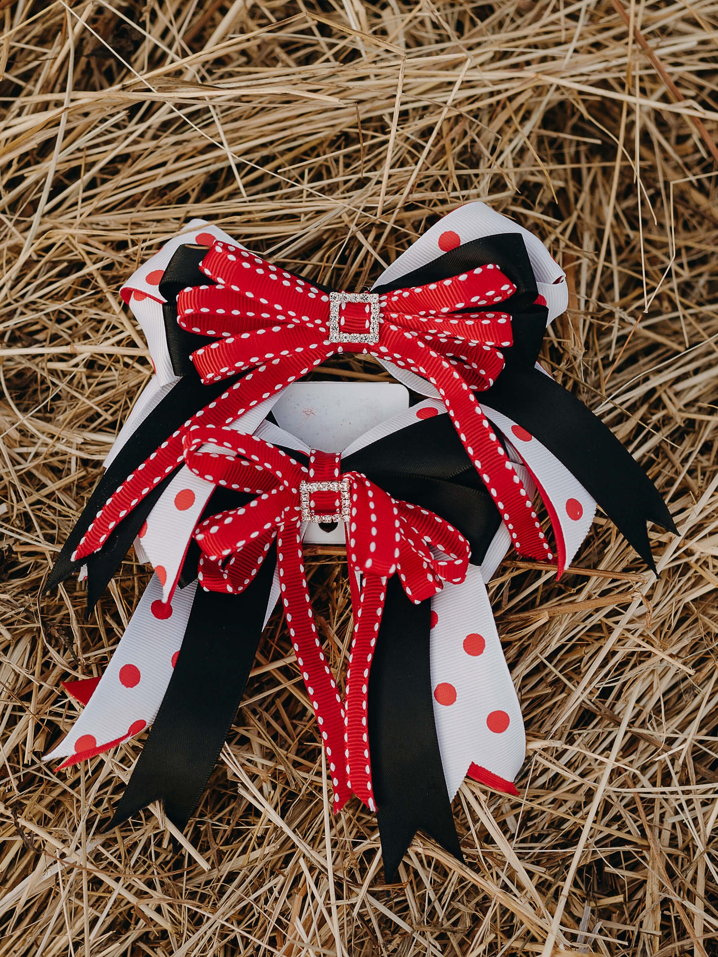 Show Bows Red and Black